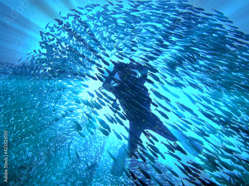 silhouette of a scuba diver in sunlight and inside a school of fish