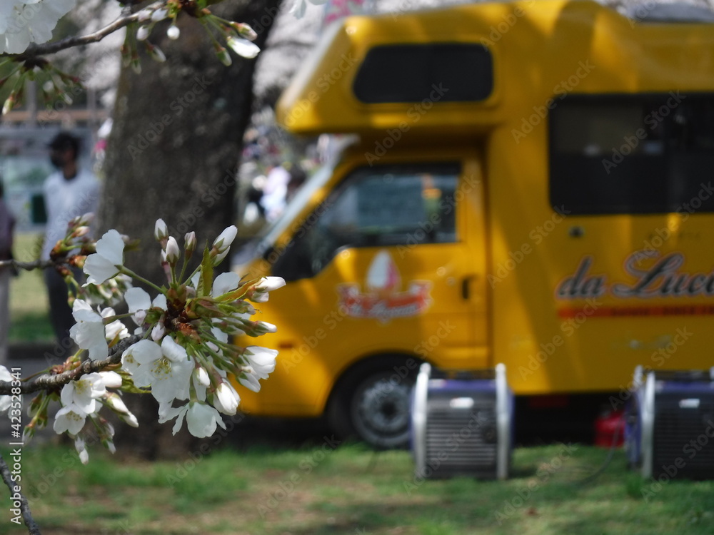Obraz premium 公園にキャンピングカー 〜A truck came to the park