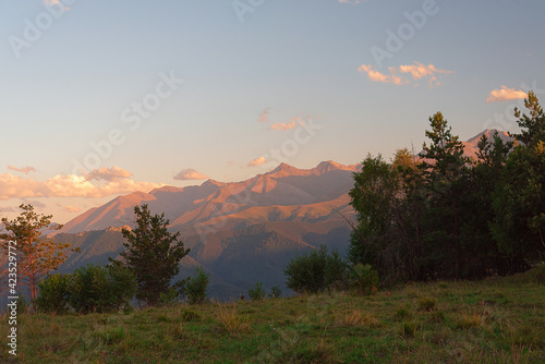 Mountain peaks at sunset in the evening with trees and a small meadow
