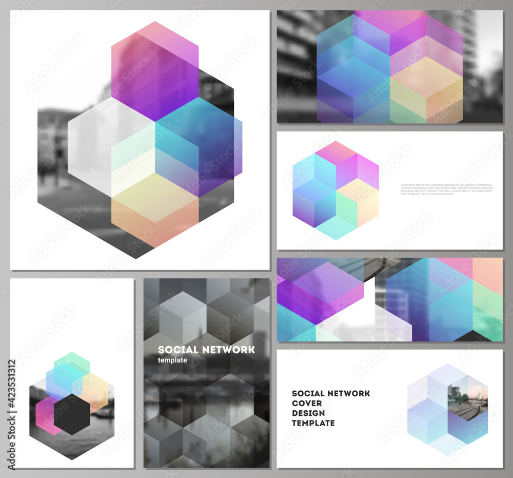 Vector layouts of modern social network mockups in popular formats with