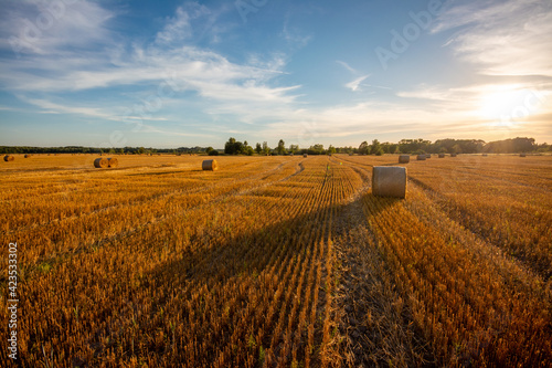 Tableau sur toile Late summer sunset landscape in wide field after harvesting, straw bales making shadows
