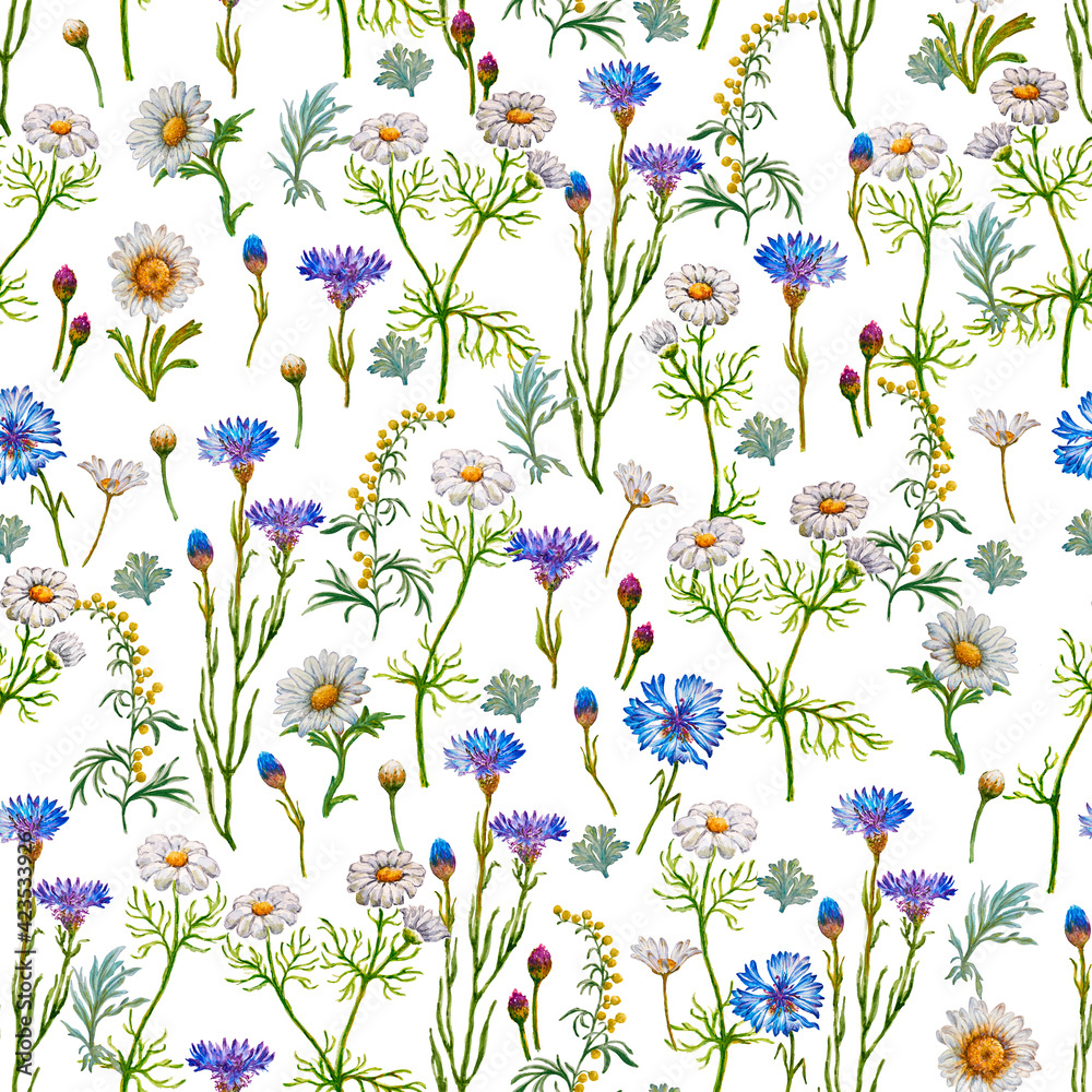 Wildflowers watercolor pattern from cornflowers, daisies and clovers