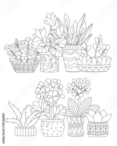collection of houseplants in decorative flowerpots with geometri