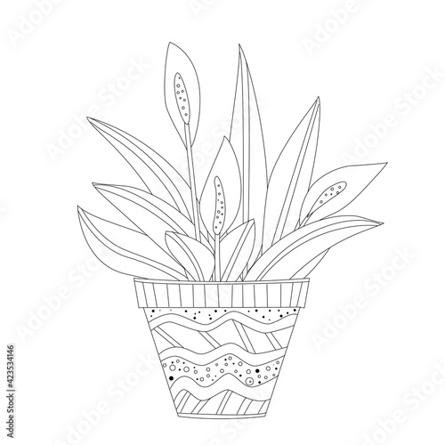 spathiphyllum flower in decorative flowerpots with geometric orn