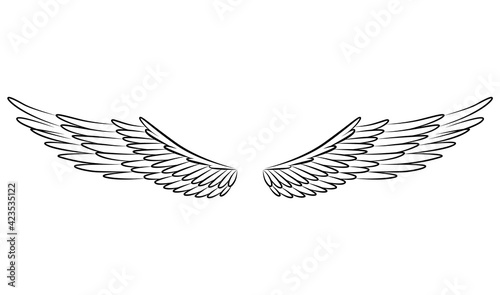 Vintage heraldic wings sketch. Monochrome stylized birds wings. Hand drawn contoured stiker wing in open position. Design elements in coloring style