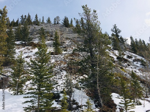 Rocky mountains in Kananaskis provincial park photo