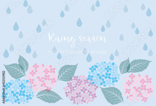 紫陽花と雨で表現した梅雨のイメージ素材