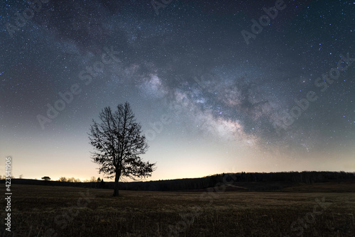 A tree silhouettes against a light polluted sky in Shenandoah National Park as the Milky Way arches over.