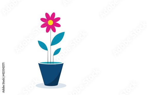 icona, fiore, vaso, primavera