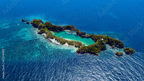 view of a coral reef