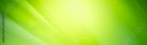 Amazing abstract background nature view of green leaf with copy space using as background natural green plants landscape, ecology,cover page, fresh wallpaper concept.