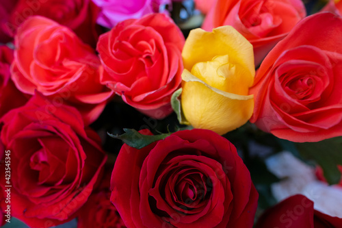 Flower texture  pink texture of a bouquet of roses