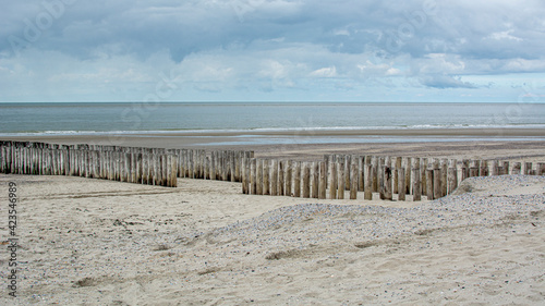 Wooden breakwaters at Dutch beach