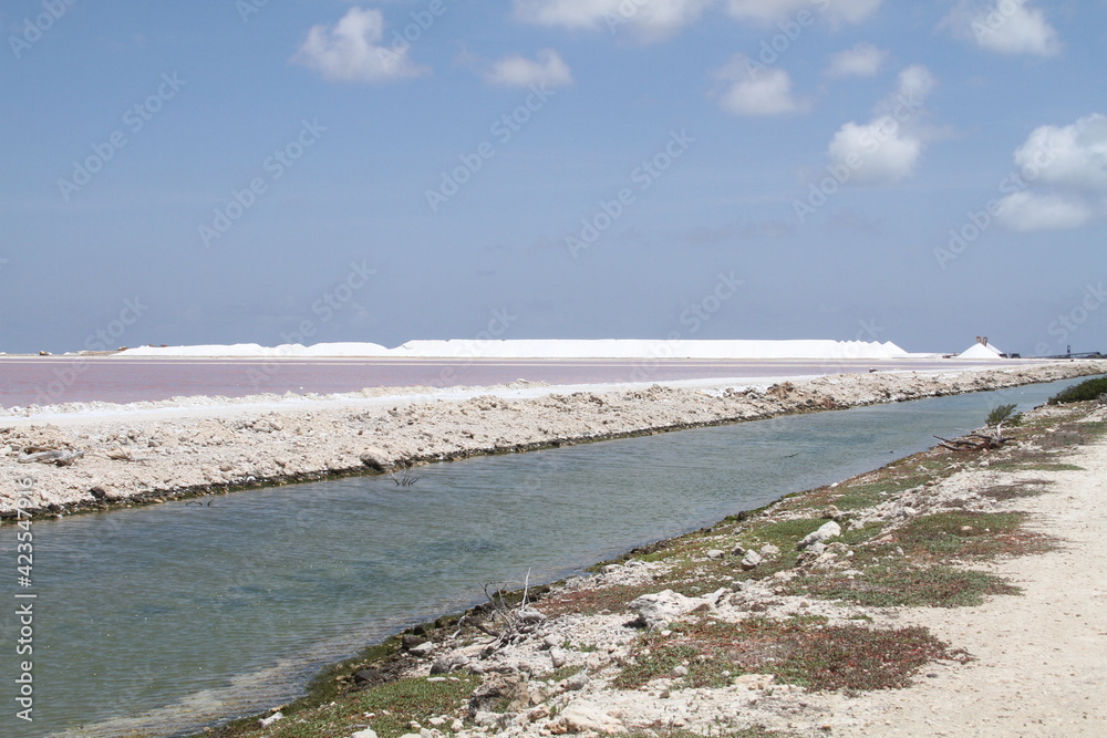 Salz gewinnung auf Bonaire