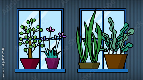 flowers in a window