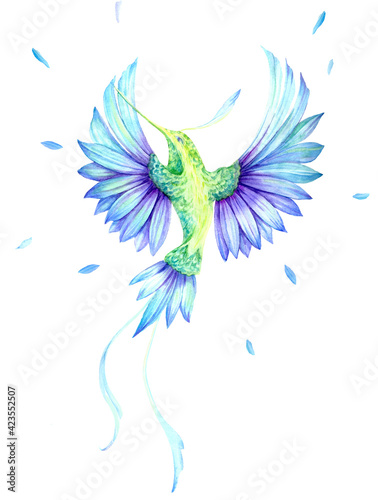 Watercolor illustration of a beautiful tropical hummingbird isolated on a white background 