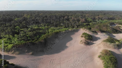 Aerial reveals where sand dunes meet dense forest on Argentina coast photo