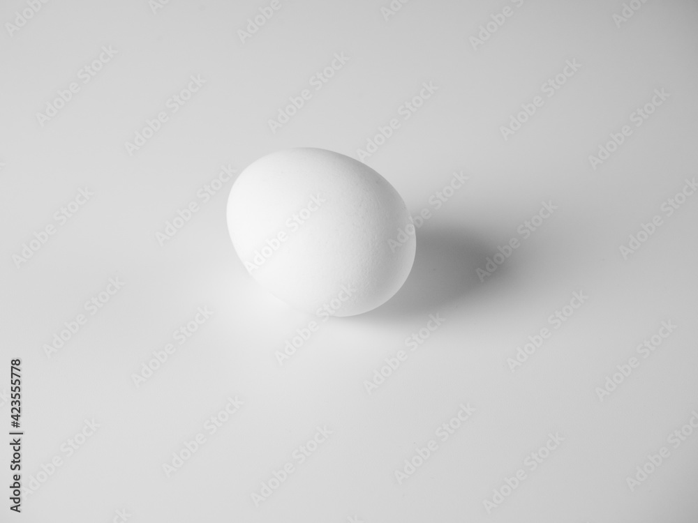 a white chicken egg lies on a white background. Minimalistic still life a white chicken egg lies on a white background. Minimalistic still life