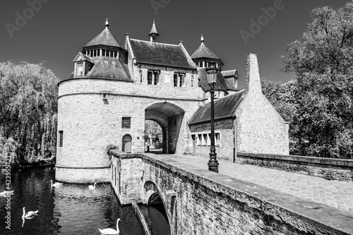 Ezelpoort (Donkey's gate) medieval entry gate surrounded by a lake with white swans in Bruges, Belgium in black and white photo