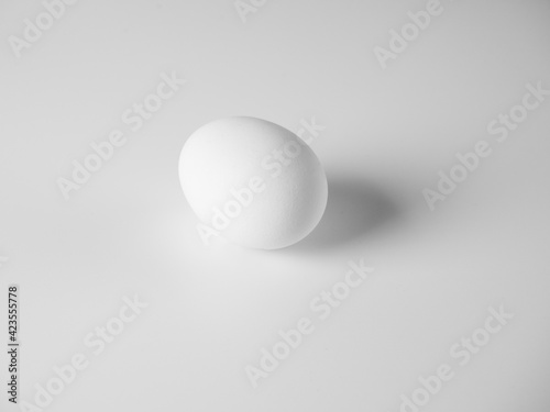 a white chicken egg lies on a white background. Minimalistic still life