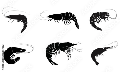 Shrimp vector set 1, Silhouette illustration fish