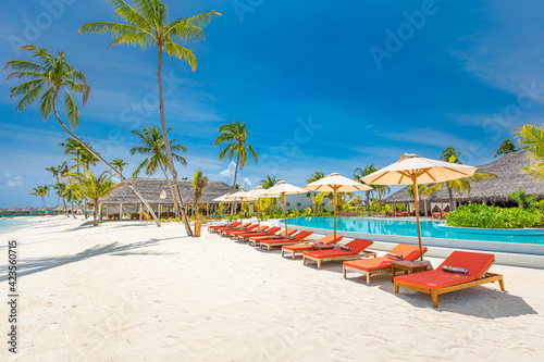 Relax tourism landscape. Luxurious beach resort with swimming pool and beach chairs or loungers leisure lifestyle  under umbrellas  palm trees  blue sky. Summer travel and vacation background concept