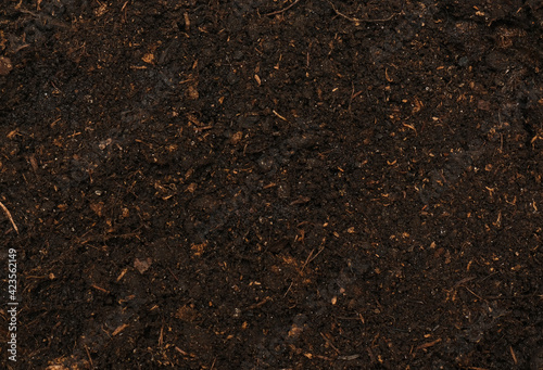 black fresh soil