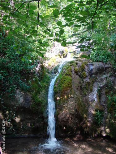 Fototapeta Naklejka Na Ścianę i Meble -  Russia, Simeiz, 05.08.2008 waterfalls in the mountains of Crimea