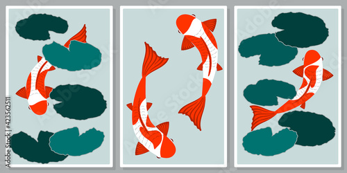 Koi fish  wall art vector set.  For wall art, poster, wallpaper, print. © ReflectedCrafts