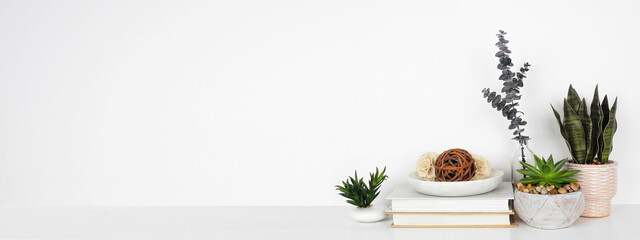 Home decor and houseplants on a shelf. White shelf against a white wall. Banner with copy space.