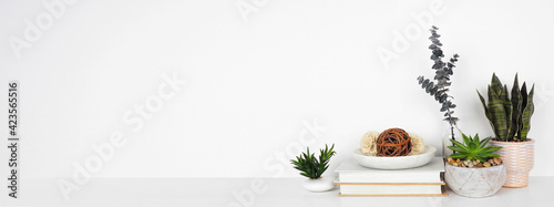 Home decor and houseplants on a shelf. White shelf against a white wall. Banner with copy space. photo