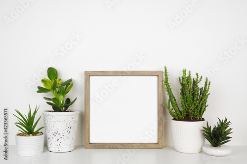 Mock up wood square frame with a variety of succulent and cactus plants. White shelf against a white wall. Copy space.