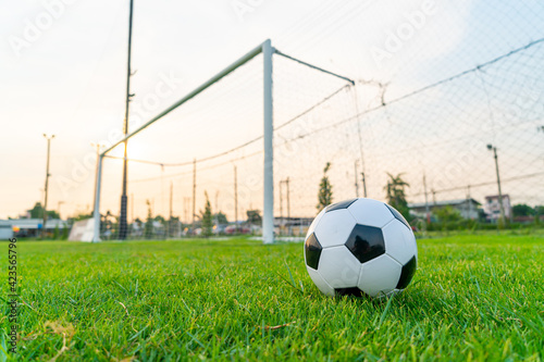 Soccer ball on the ball field © topntp