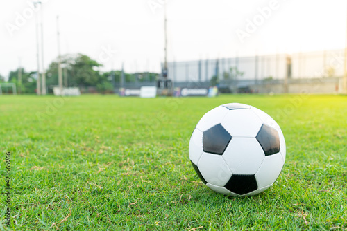 Soccer ball on the ball field © topntp
