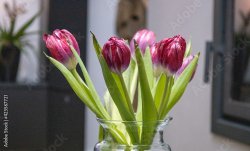 Tulipany 