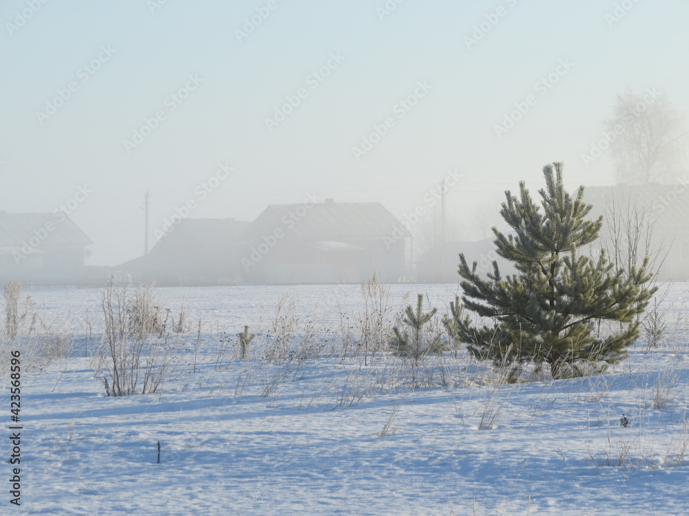 winter, snow, landscape, cold, sky, house, tree, nature, white, blue, farm, ice, trees, mountain, village, season, forest, view, frost, field, countryside, sunset, building, country, russia