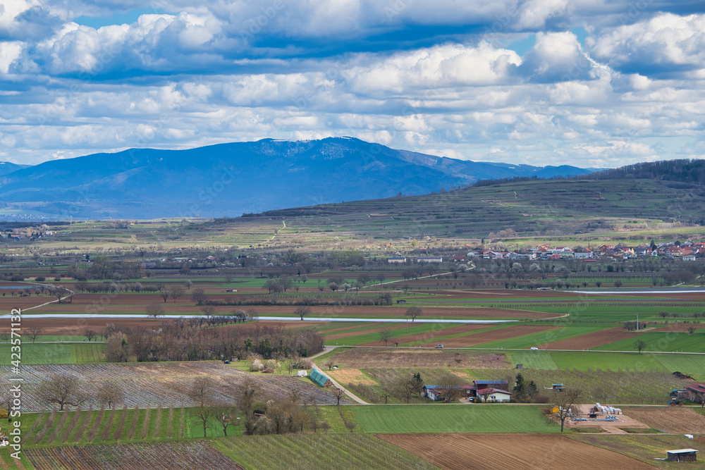 Blick in den Kaiserstuhl von der Limburg