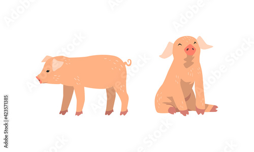 Pinky Pig as Domestic Animal with Long Snout and Hoofed Toes Vector Set