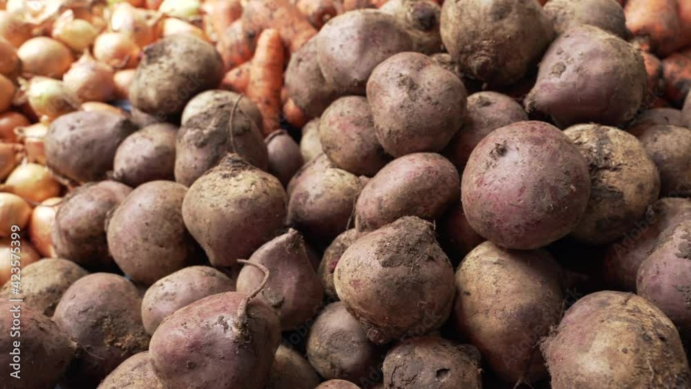 Fresh vegetables in the market. Red beets, carrots and golden onions as food background Fresh vegetables in the market. Red beets, carrots and golden onions as food background