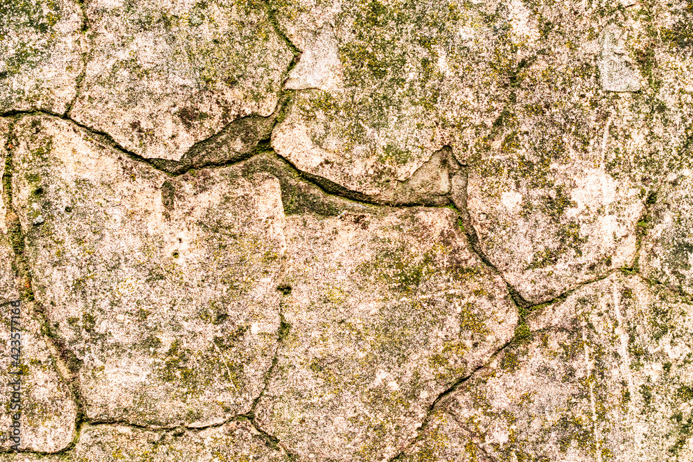 Texture of a concrete wall with cracks and scratches which can be used as a background Texture of a concrete wall with cracks and scratches which can be used as a background