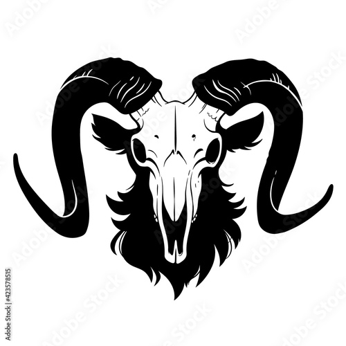 goat skull with black horns and wool