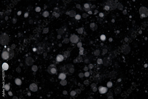 Fotografija Falling snow out of focus on the black background