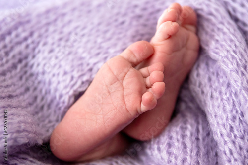 Großaufnahme der Füße eines Babys auf einer kuscheligen, hellblauen Wolldecke