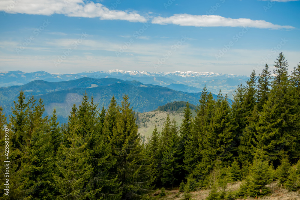 Panoramic view of picturesque Carpathian Mountains landscape with forest slopes, mountain ranges and peaks. 
