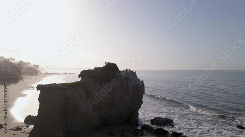 Double-Crested Cormorant Colony On Rock Formation, El Matador Beach photo