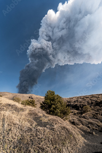 Wallpaper Mural Spectacular eruption of the Etna volcano with column of smoke in the sky Torontodigital.ca