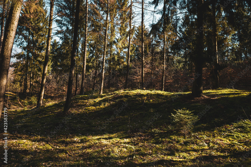 Obraz premium Achterberge