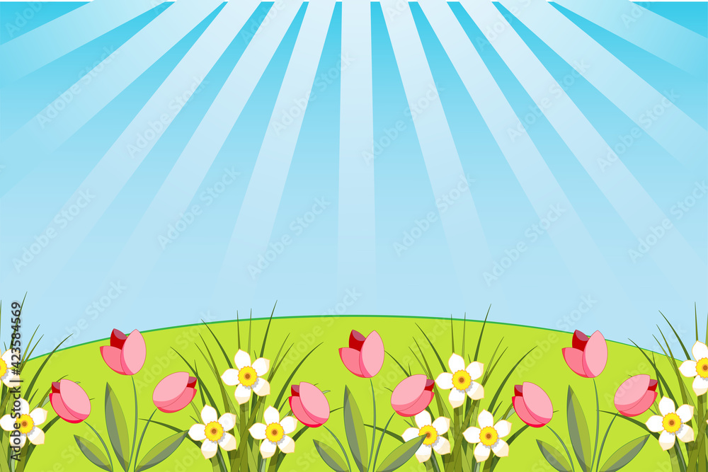 Obraz premium vector illustration of green grass with tulips, daffodils and blue sky with sunlight summer time
