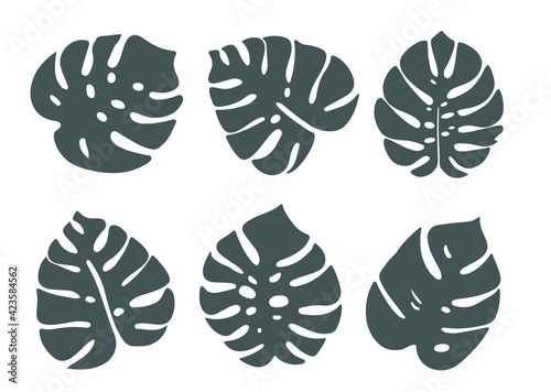 Icons with tropical palm leaves, monstera. Beautiful hand drawn exotic plants. Floral background. Monsters isolated on white background. 