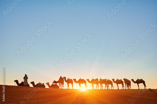 Camel caravan going through the sand dunes in the Sahara Desert